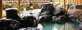 Shikotsuko Daiichi Hotel Suizantei Chitose  Chitose (Hokkaido)